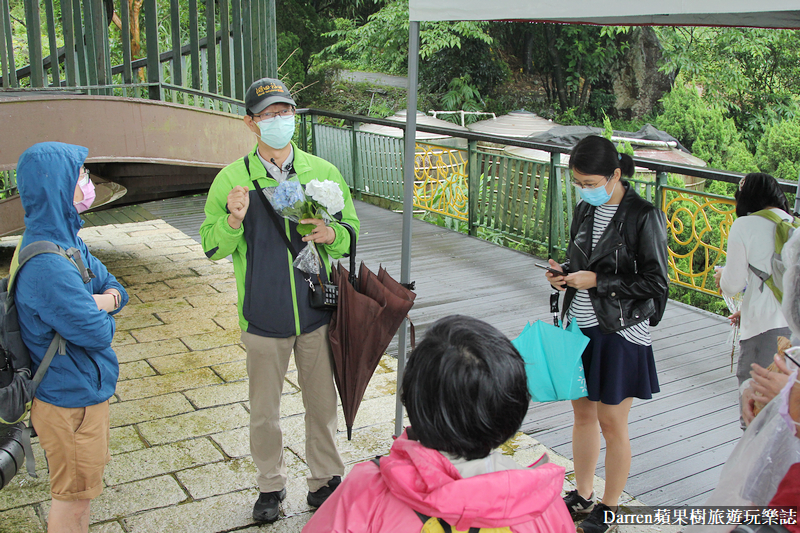 2022竹子湖繡球花季|臺北大縱走縱走之戀頂湖海芋步道看繡球花花海遊程(交通)