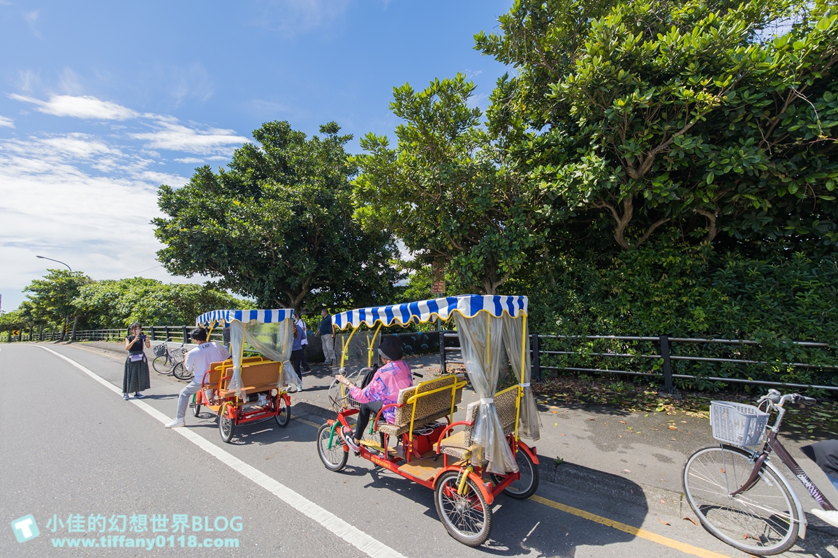 [宜蘭旅遊]冬山河休閒農業區特色活動輕旅行/三奇美徑彩繪稻田、五十二甲溼地夜賞穗花、餵鴨做鹹蛋DIY、單車遊舊河道