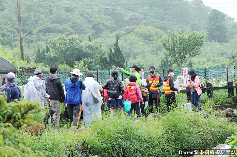 2022竹子湖繡球花季|臺北大縱走縱走之戀頂湖海芋步道看繡球花花海遊程(交通)