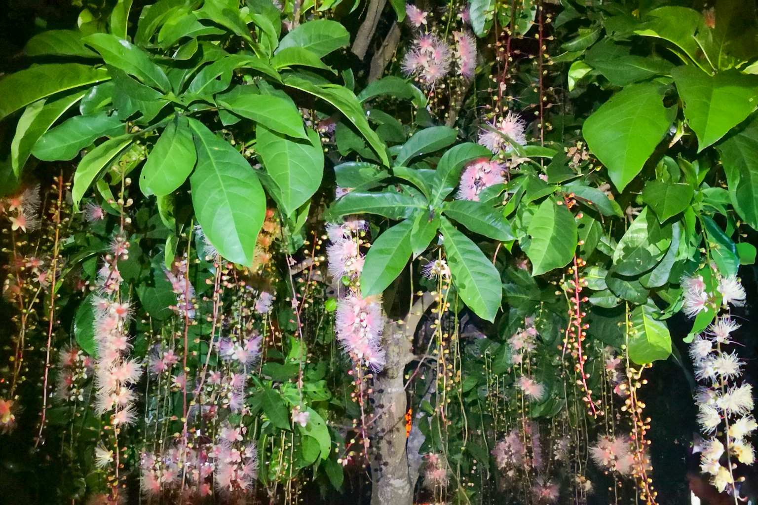 [宜蘭旅遊]冬山河休閒農業區特色活動輕旅行/三奇美徑彩繪稻田、五十二甲溼地夜賞穗花、餵鴨做鹹蛋DIY、單車遊舊河道