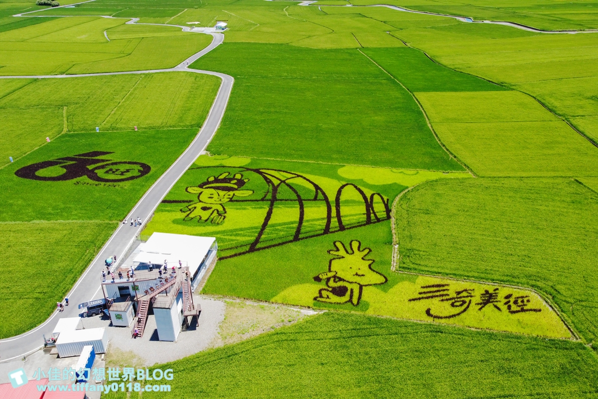 [宜蘭旅遊]冬山河休閒農業區特色活動輕旅行/三奇美徑彩繪稻田、五十二甲溼地夜賞穗花、餵鴨做鹹蛋DIY、單車遊舊河道