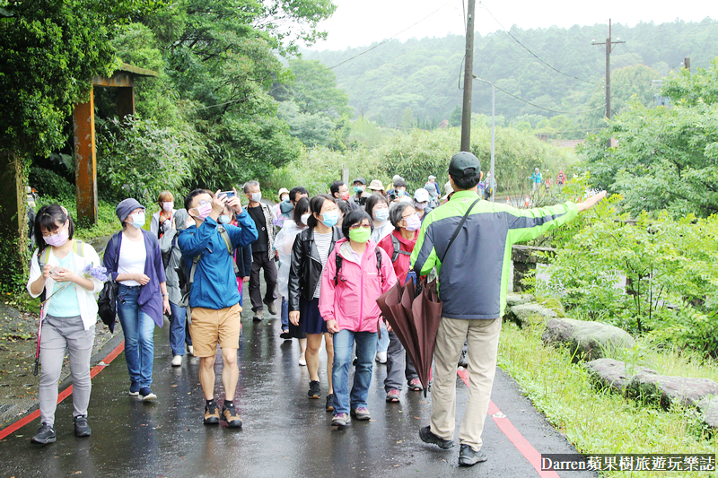 2022竹子湖繡球花季|臺北大縱走縱走之戀頂湖海芋步道看繡球花花海遊程(交通)