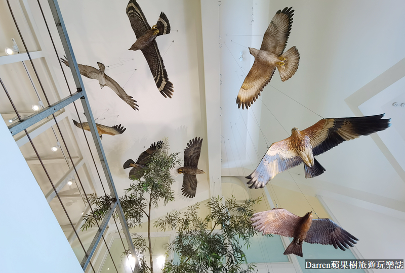 觀音山一日遊|觀音山遊客中心天空步道附近景點公車交通路線攻略