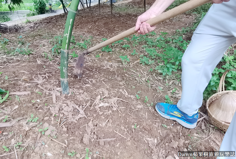 五股美食餐廳|旗竿湖農場綠竹筍大餐/觀音山綠竹筍餐廳(菜單價位)
