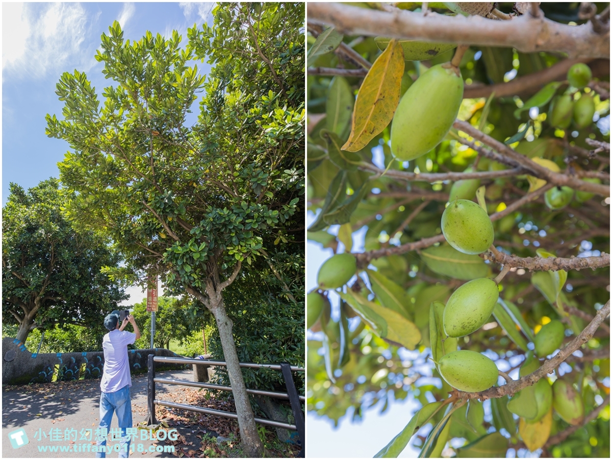 [宜蘭旅遊]冬山河休閒農業區特色活動輕旅行/三奇美徑彩繪稻田、五十二甲溼地夜賞穗花、餵鴨做鹹蛋DIY、單車遊舊河道