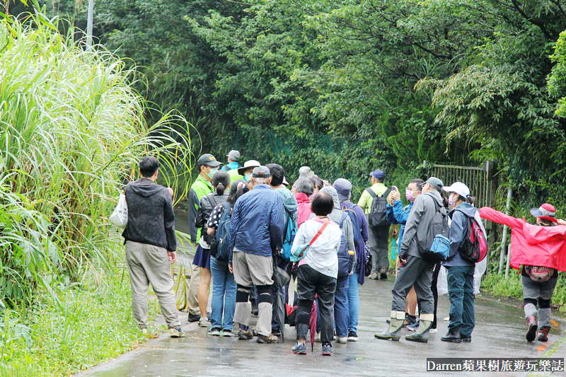 2022竹子湖繡球花季|臺北大縱走縱走之戀頂湖海芋步道看繡球花花海遊程(交通)