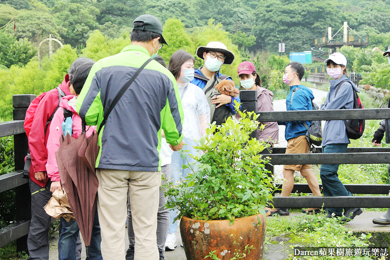 2022竹子湖繡球花季|臺北大縱走縱走之戀頂湖海芋步道看繡球花花海遊程(交通)