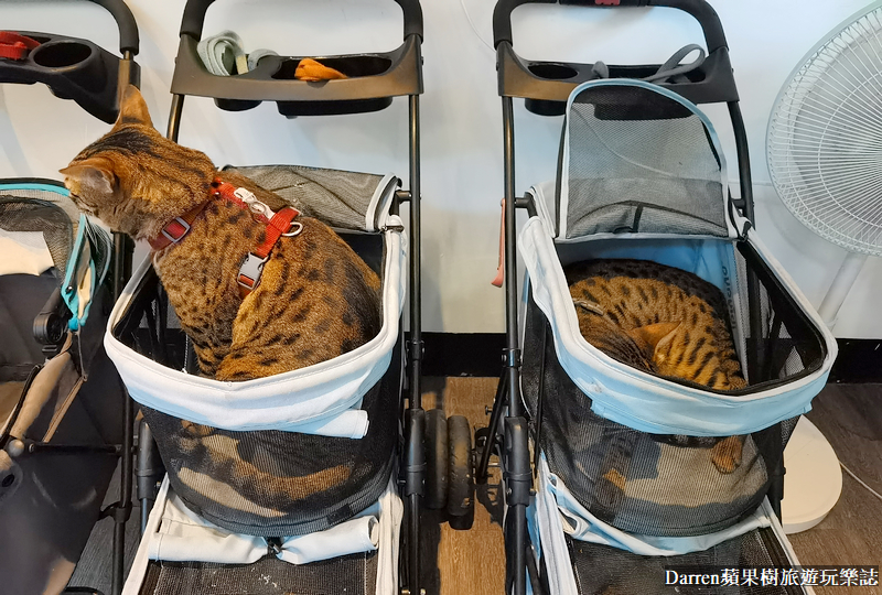 新北五股|豹豹咖啡森林館/觀音山咖啡廳/觀音山遊客中心景觀咖啡(菜單價位)