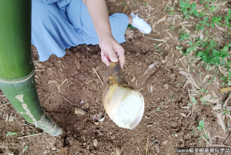 五股美食餐廳|旗竿湖農場綠竹筍大餐/觀音山綠竹筍餐廳(菜單價位)
