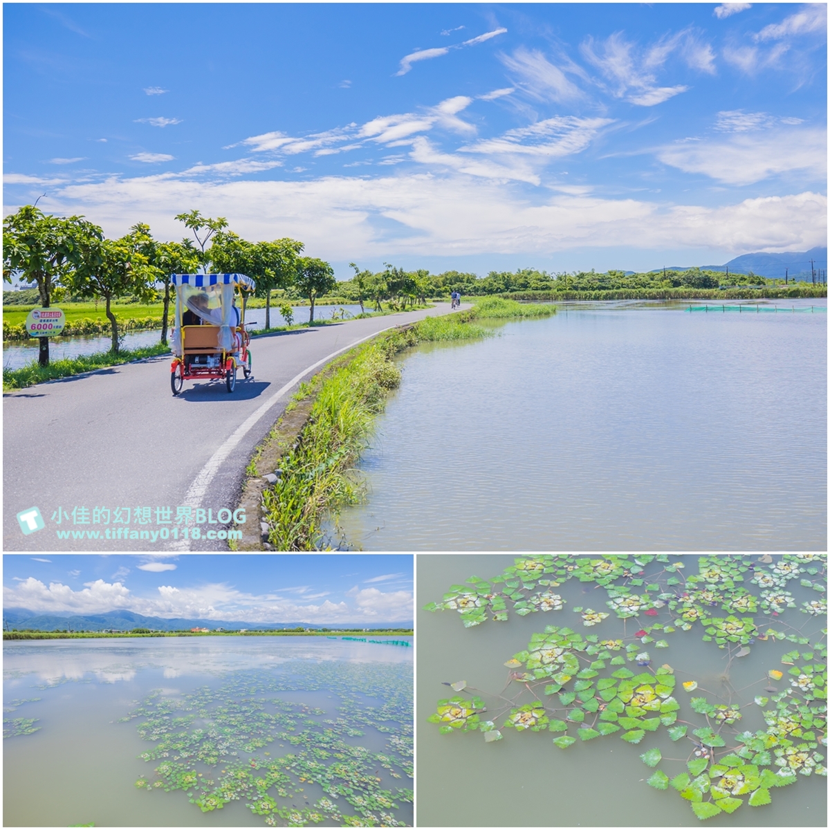 [宜蘭旅遊]冬山河休閒農業區特色活動輕旅行/三奇美徑彩繪稻田、五十二甲溼地夜賞穗花、餵鴨做鹹蛋DIY、單車遊舊河道