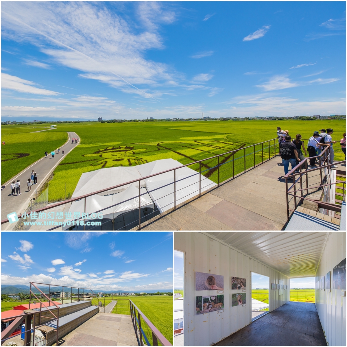 [宜蘭旅遊]冬山河休閒農業區特色活動輕旅行/三奇美徑彩繪稻田、五十二甲溼地夜賞穗花、餵鴨做鹹蛋DIY、單車遊舊河道