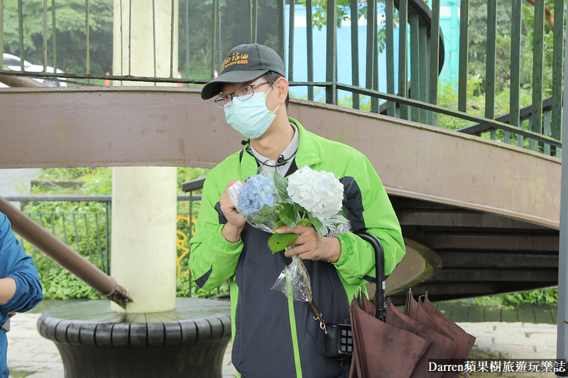 2022竹子湖繡球花季|臺北大縱走縱走之戀頂湖海芋步道看繡球花花海遊程(交通)