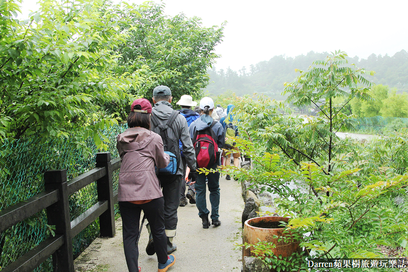 2022竹子湖繡球花季|臺北大縱走縱走之戀頂湖海芋步道看繡球花花海遊程(交通)