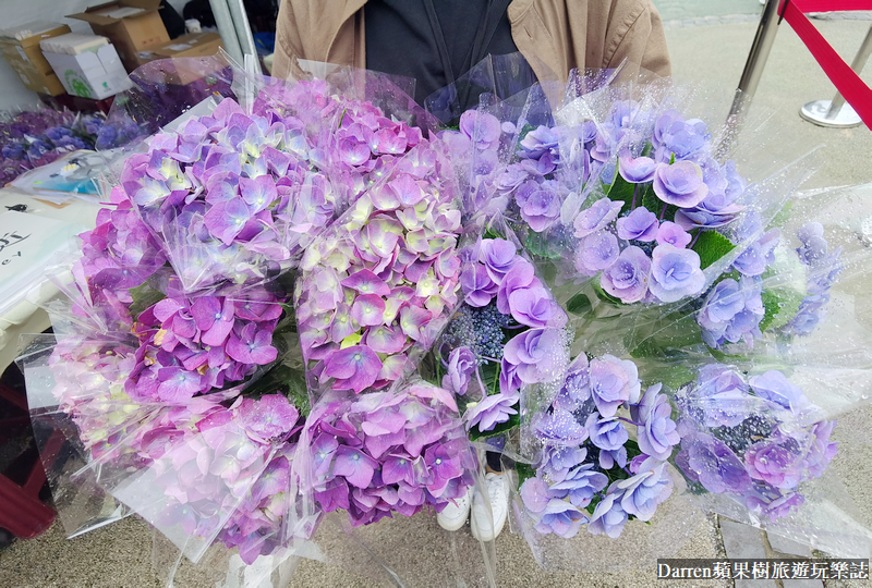 2022竹子湖繡球花季|臺北大縱走縱走之戀頂湖海芋步道看繡球花花海遊程(交通)