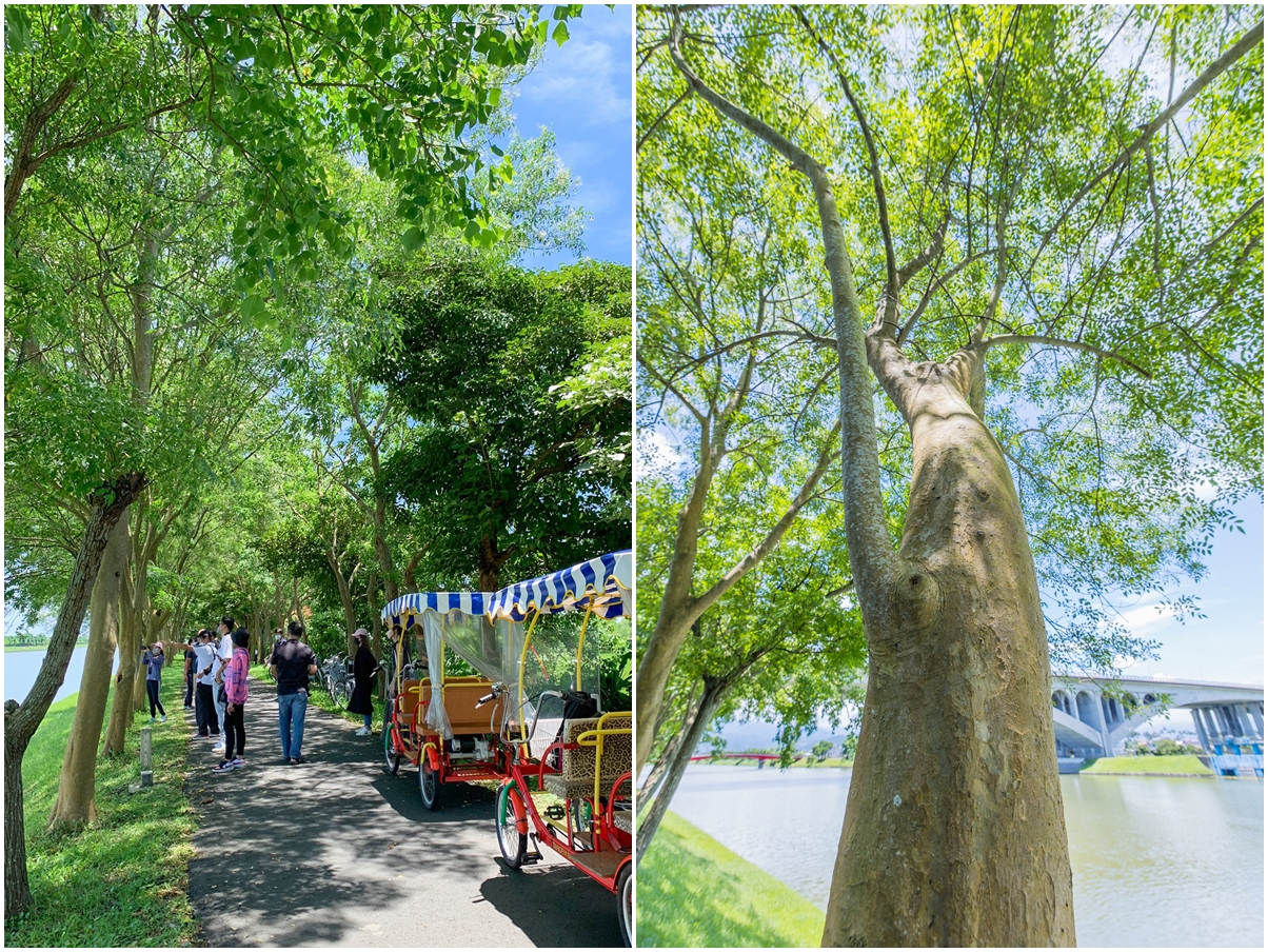 [宜蘭旅遊]冬山河休閒農業區特色活動輕旅行/三奇美徑彩繪稻田、五十二甲溼地夜賞穗花、餵鴨做鹹蛋DIY、單車遊舊河道