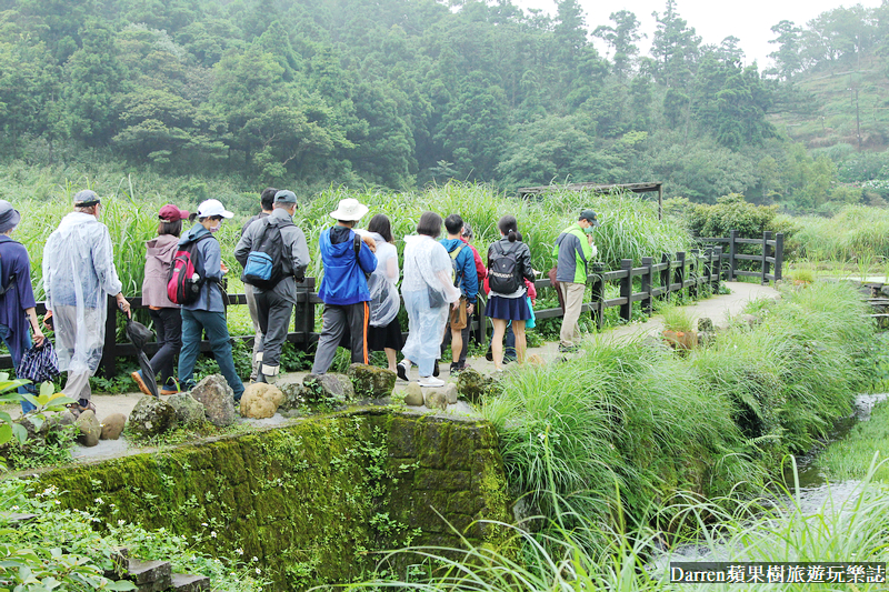 2022竹子湖繡球花季|臺北大縱走縱走之戀頂湖海芋步道看繡球花花海遊程(交通)