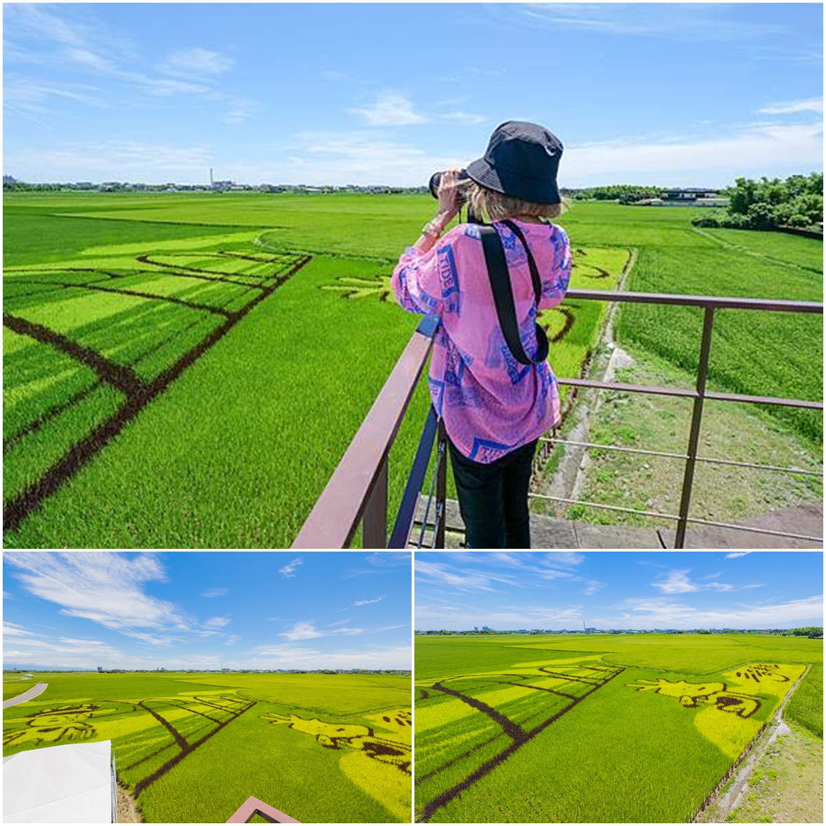 [宜蘭旅遊]冬山河休閒農業區特色活動輕旅行/三奇美徑彩繪稻田、五十二甲溼地夜賞穗花、餵鴨做鹹蛋DIY、單車遊舊河道