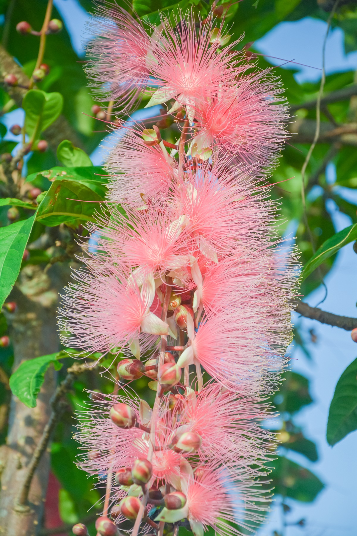 [宜蘭旅遊]冬山河休閒農業區特色活動輕旅行/三奇美徑彩繪稻田、五十二甲溼地夜賞穗花、餵鴨做鹹蛋DIY、單車遊舊河道