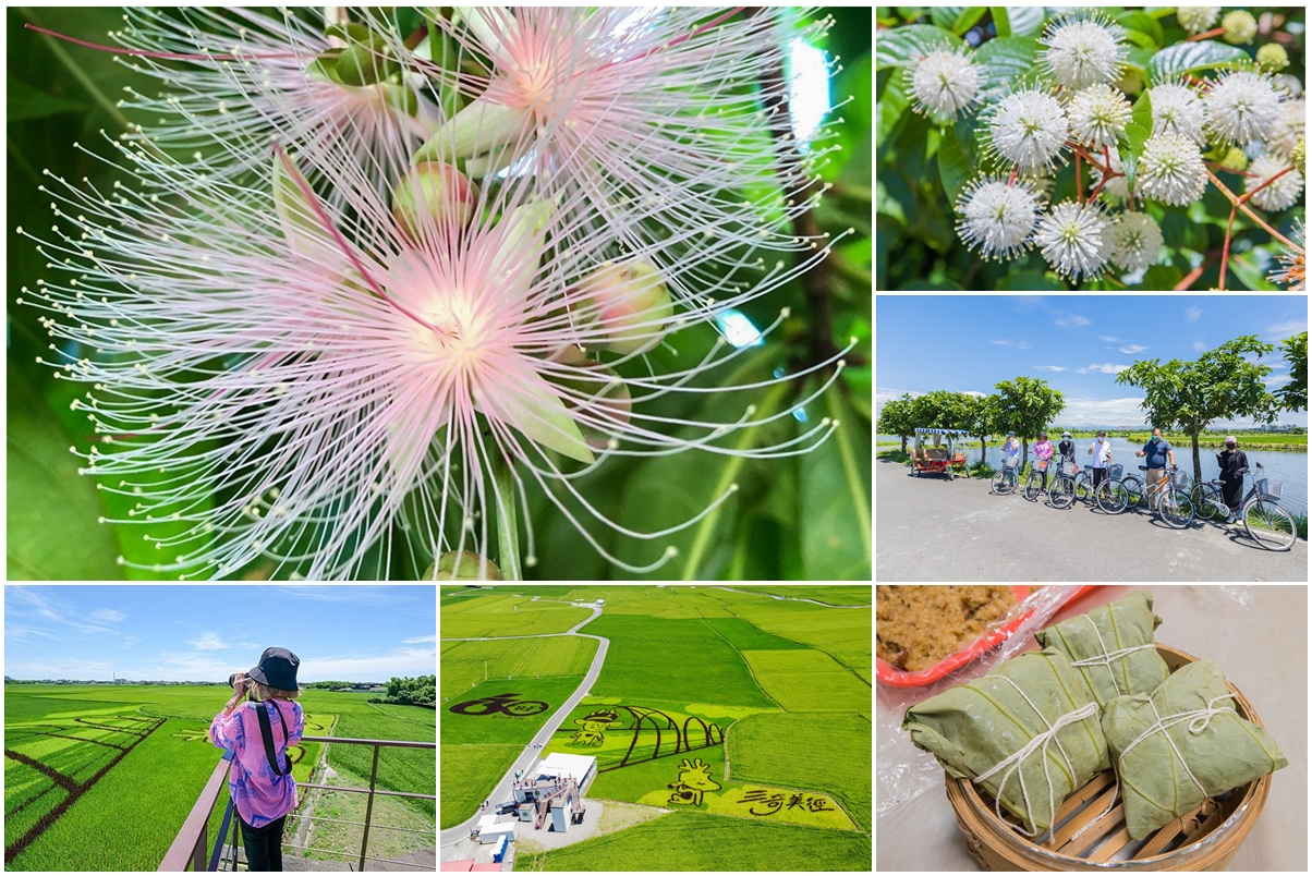 [宜蘭旅遊]冬山河休閒農業區特色活動輕旅行/三奇美徑彩繪稻田、五十二甲溼地夜賞穗花、餵鴨做鹹蛋DIY、單車遊舊河道