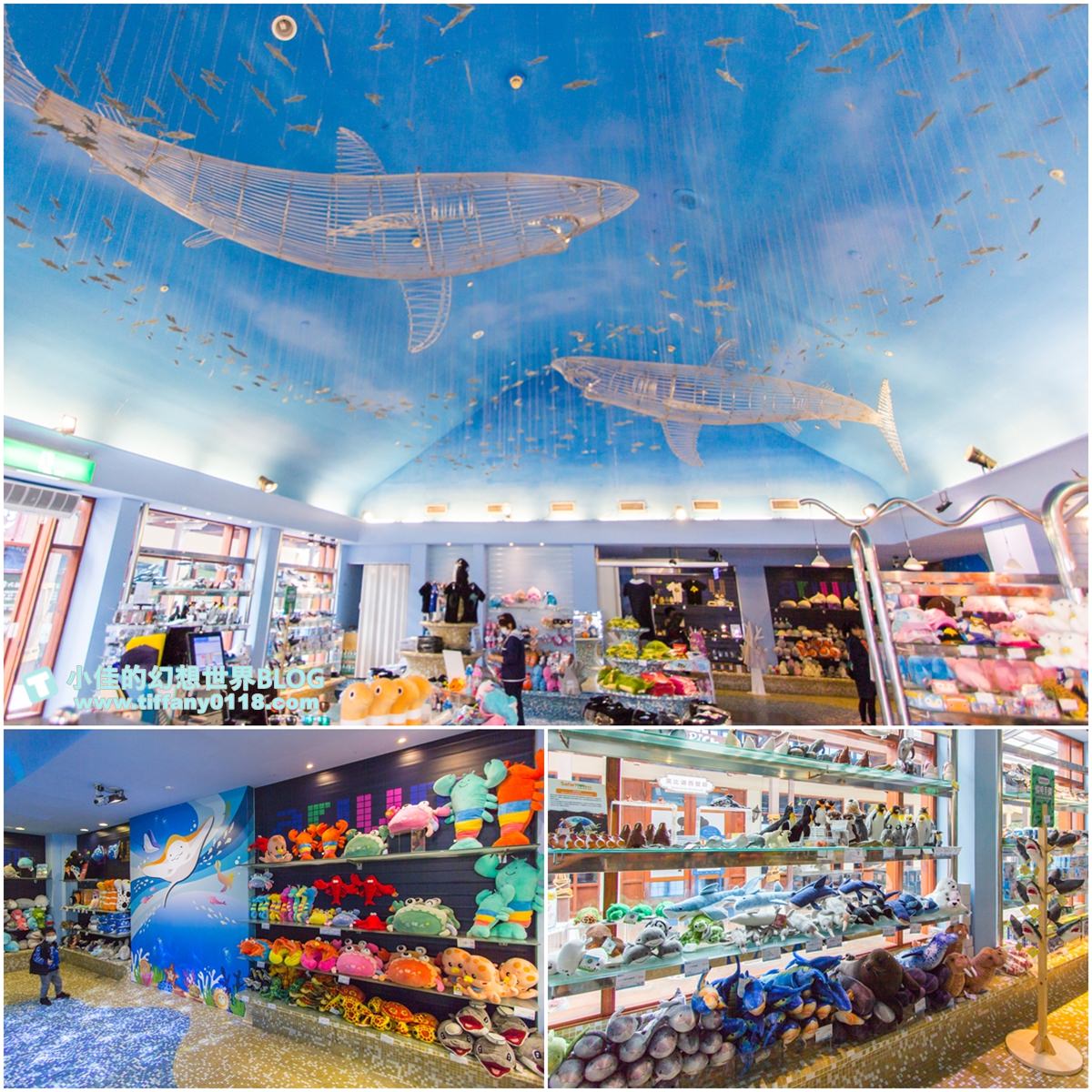 2020花蓮遠雄海洋公園全攻略/必看海豚海獅表演/八大園區+四大主題表演讓你一整天都玩到