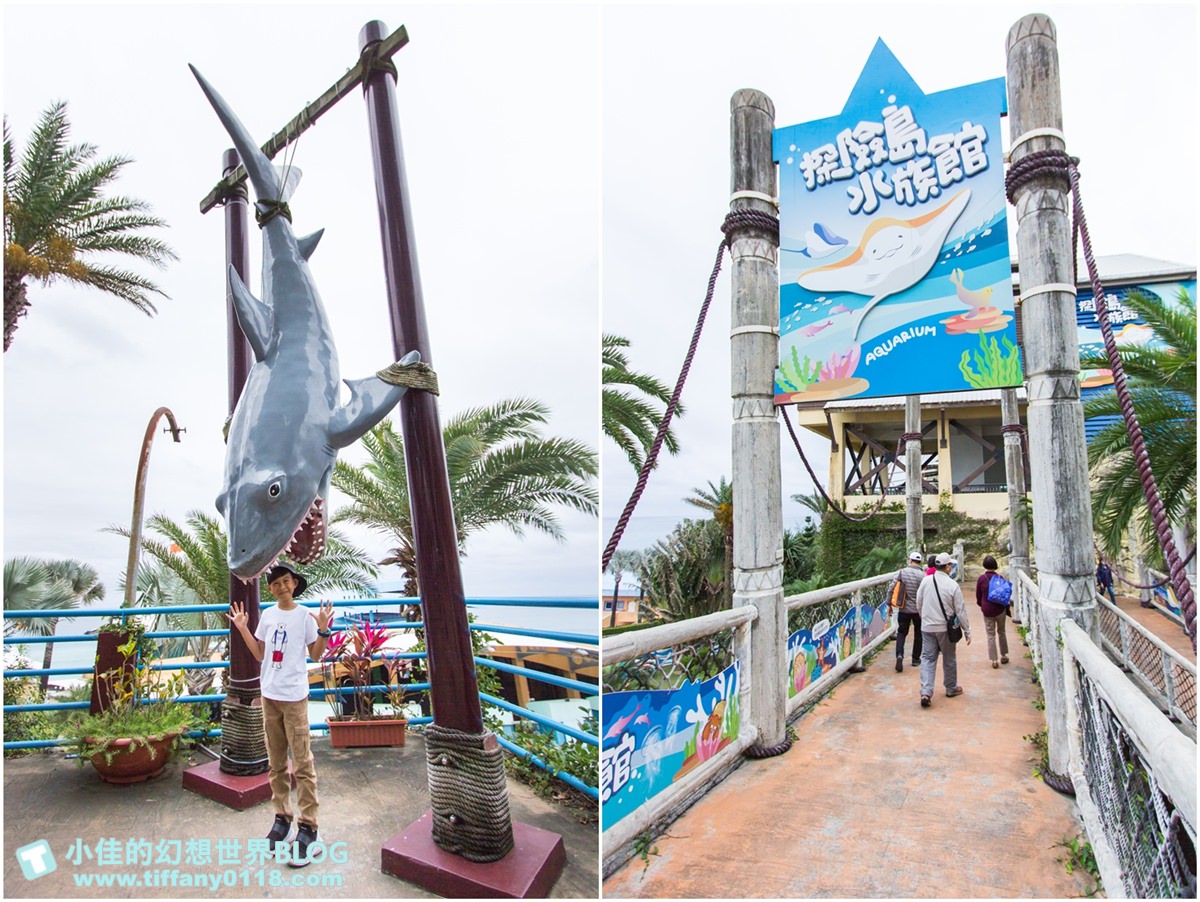 2020花蓮遠雄海洋公園全攻略/必看海豚海獅表演/八大園區+四大主題表演讓你一整天都玩到