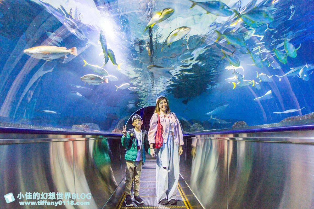 2020花蓮遠雄海洋公園全攻略/必看海豚海獅表演/八大園區+四大主題表演讓你一整天都玩到