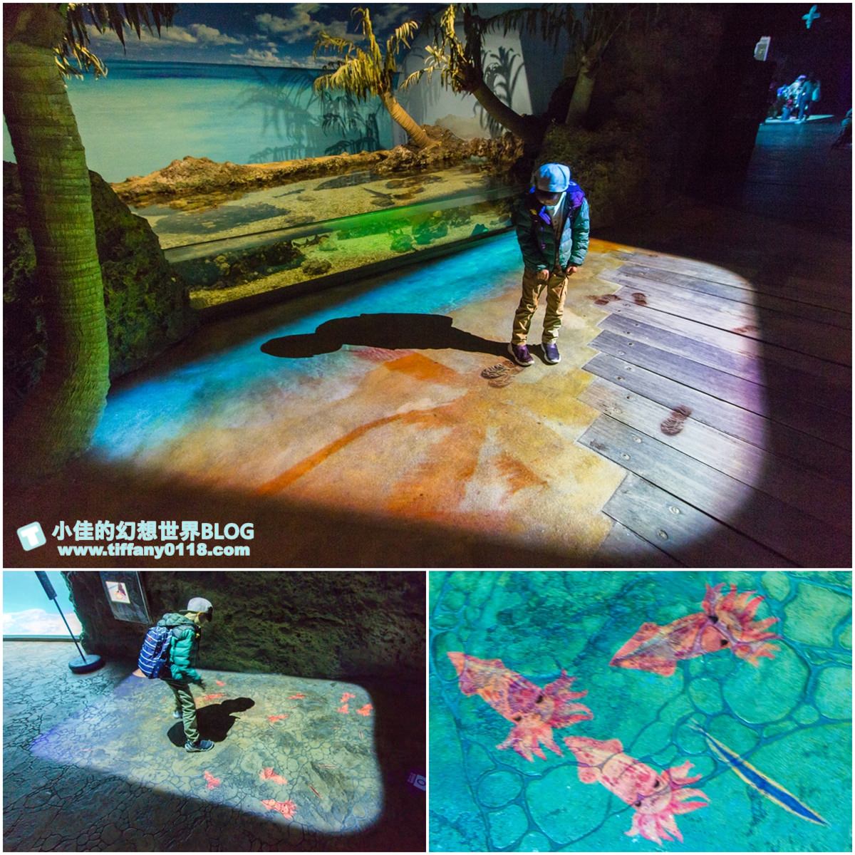 2020花蓮遠雄海洋公園全攻略/必看海豚海獅表演/八大園區+四大主題表演讓你一整天都玩到