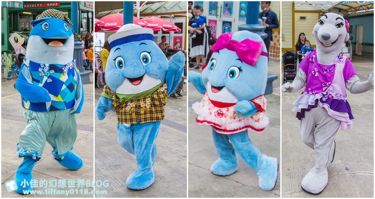 2020花蓮遠雄海洋公園全攻略/必看海豚海獅表演/八大園區+四大主題表演讓你一整天都玩到