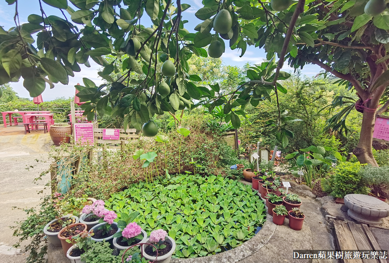 新北八里|桃樂絲柚香農場/北部免門票親子景點/八里親子餐廳(菜單交通)