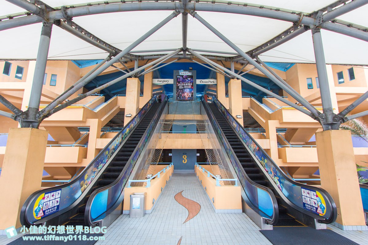 2020花蓮遠雄海洋公園全攻略/必看海豚海獅表演/八大園區+四大主題表演讓你一整天都玩到