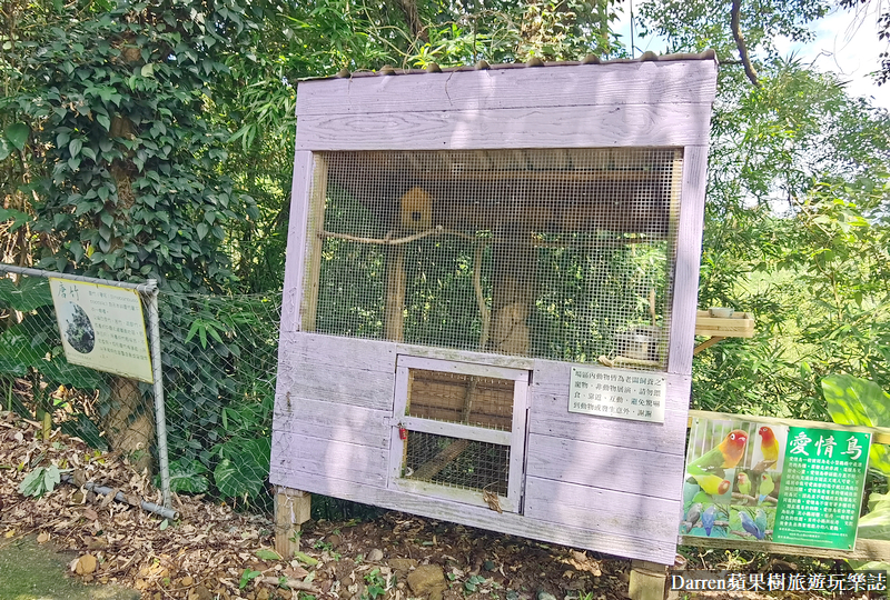 新北八里|桃樂絲柚香農場/北部免門票親子景點/八里親子餐廳(菜單交通)