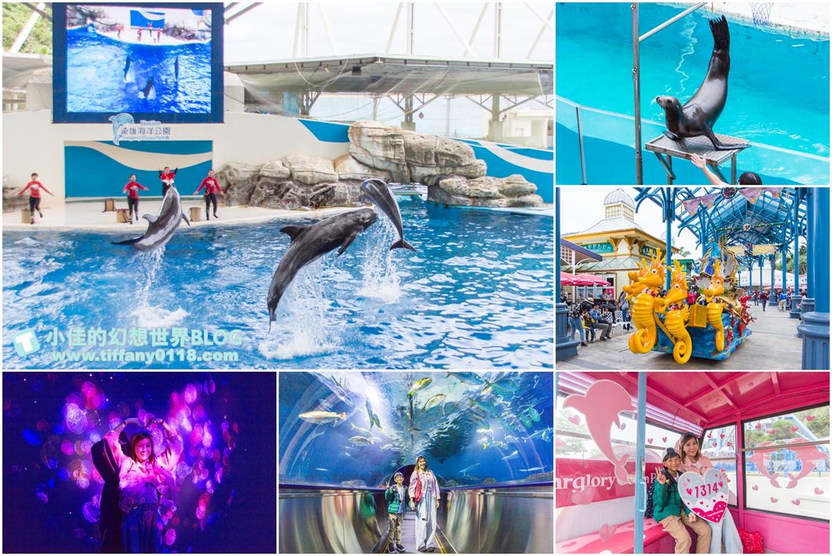 花蓮遠雄海洋公園全攻略/必看海豚海獅表演/八大園區+四大主題表演讓你一整天都玩到