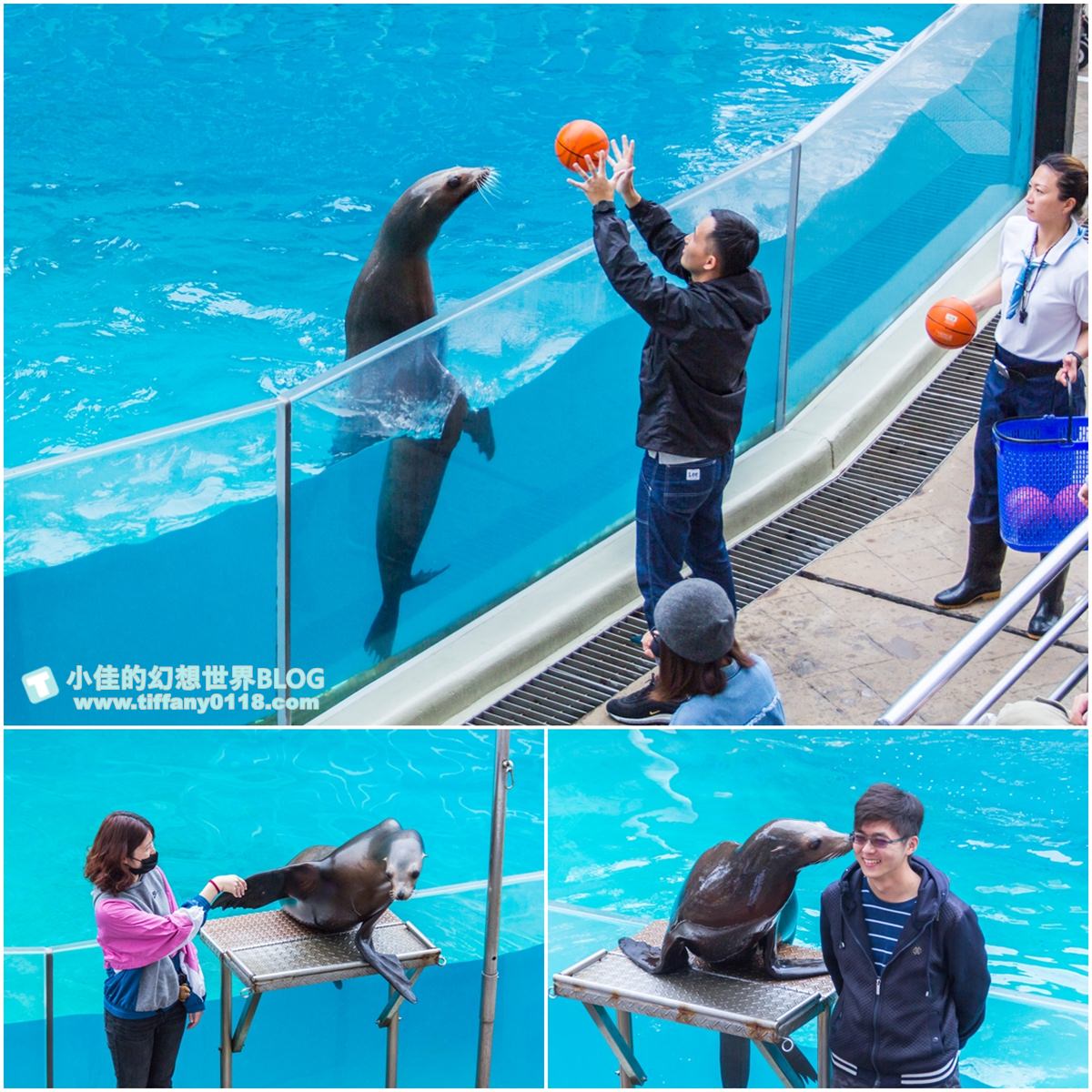 2020花蓮遠雄海洋公園全攻略/必看海豚海獅表演/八大園區+四大主題表演讓你一整天都玩到