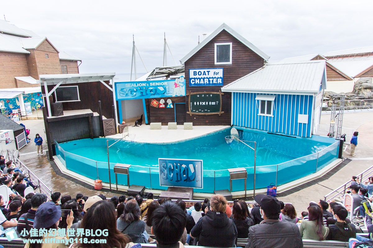 2020花蓮遠雄海洋公園全攻略/必看海豚海獅表演/八大園區+四大主題表演讓你一整天都玩到