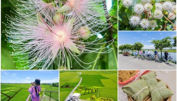 [宜蘭旅遊]冬山河休閒農業區特色活動輕旅行/三奇美徑彩繪稻田、五十二甲溼地夜賞穗花、餵鴨做鹹蛋DIY、單車遊舊河道