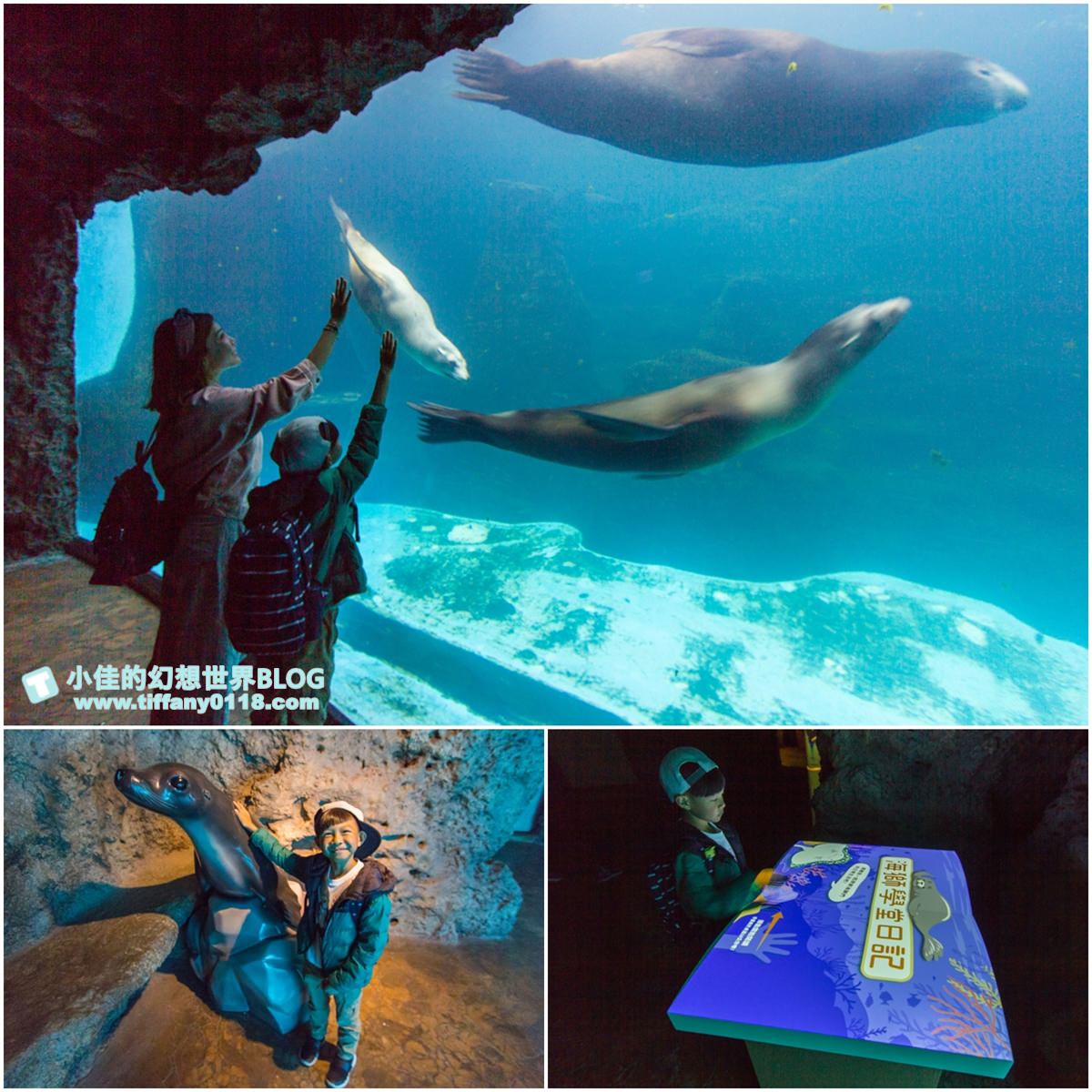 2020花蓮遠雄海洋公園全攻略/必看海豚海獅表演/八大園區+四大主題表演讓你一整天都玩到