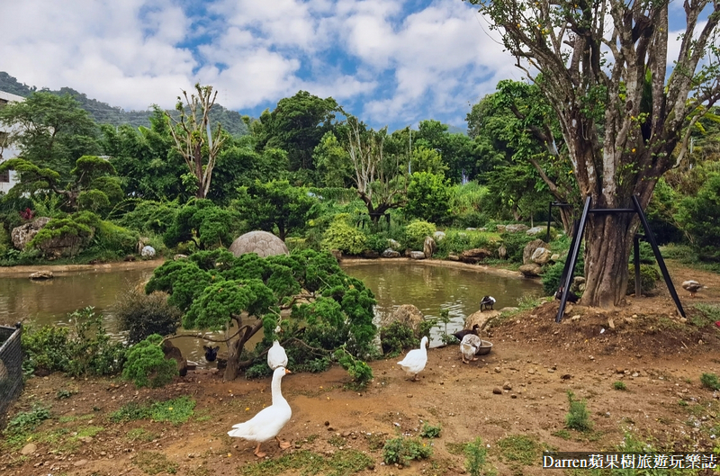 桃園景點|蘇家莊園/免門票好停車日式庭園造景萬坪動物莊園(菜單)