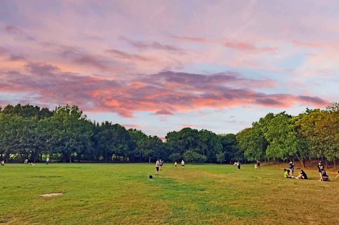 桃園八德埤塘自然生態公園|桃園親子景點野餐看小動物附近景點美食交通