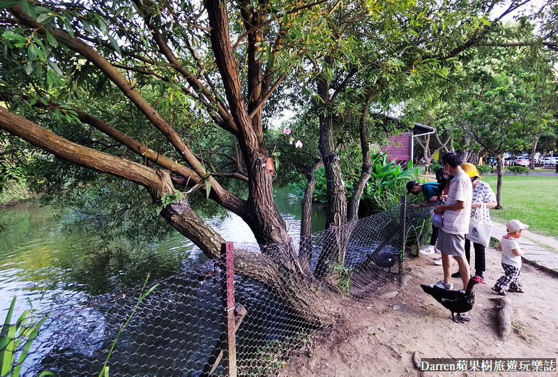 桃園八德埤塘自然生態公園|桃園親子景點野餐看小動物附近景點美食交通