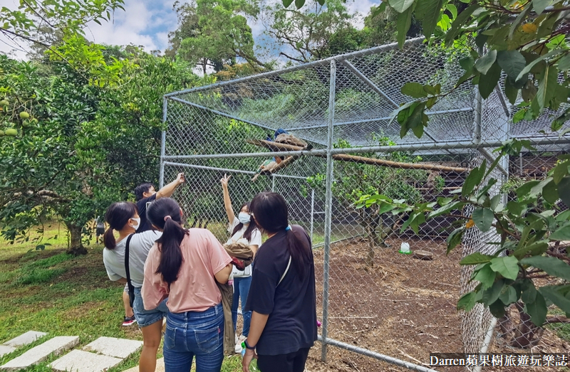 桃園景點|蘇家莊園/免門票好停車日式庭園造景萬坪動物莊園(菜單)