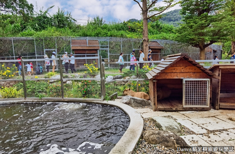 桃園景點|蘇家莊園/免門票好停車日式庭園造景萬坪動物莊園(菜單)