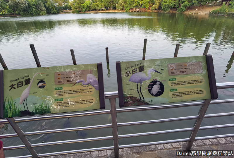 桃園八德埤塘自然生態公園|桃園親子景點野餐看小動物附近景點美食交通