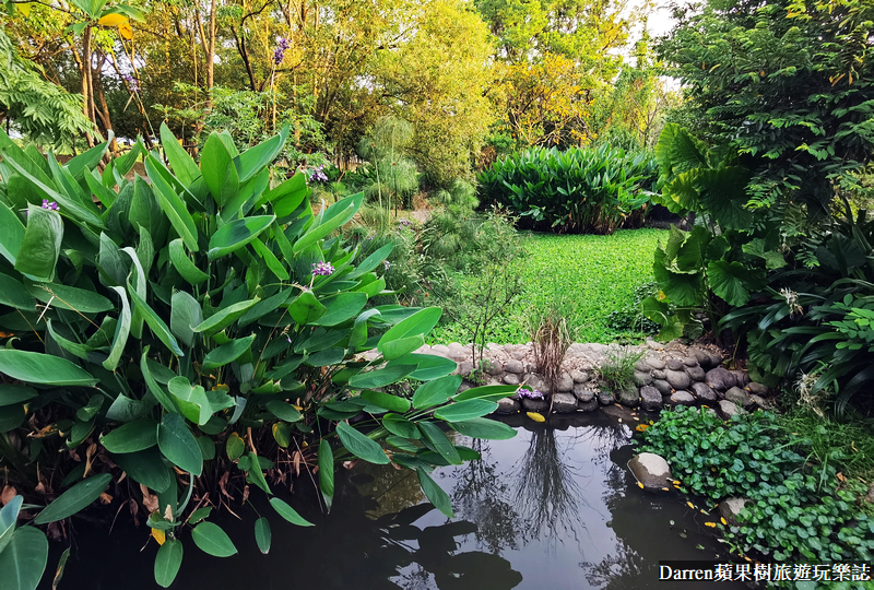 桃園八德埤塘自然生態公園|桃園親子景點野餐看小動物附近景點美食交通