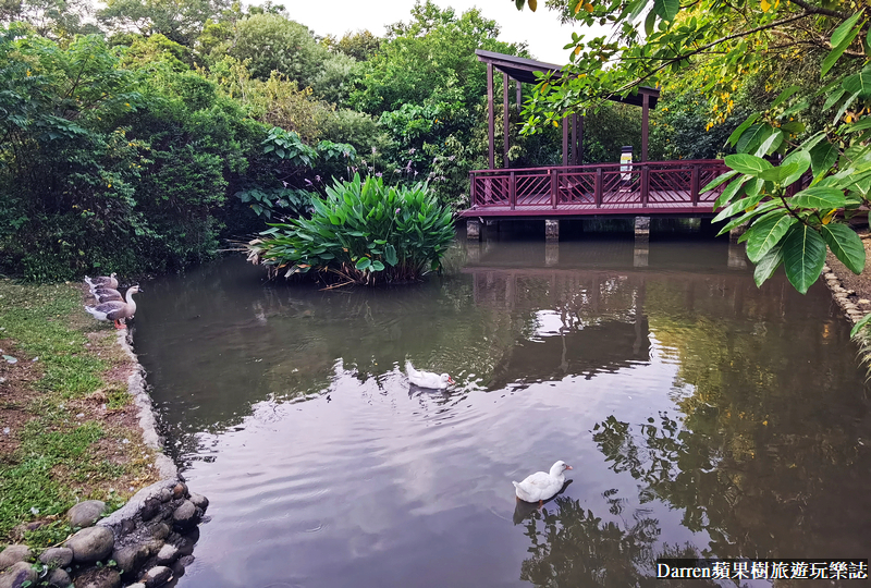 桃園八德埤塘自然生態公園|桃園親子景點野餐看小動物附近景點美食交通
