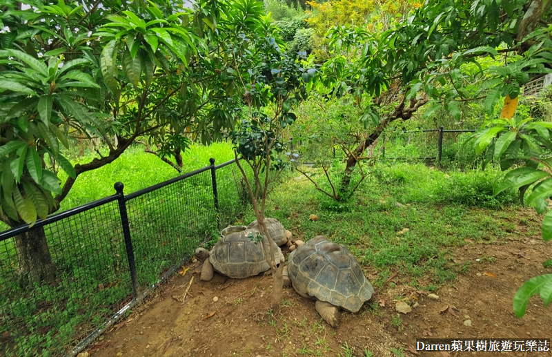 桃園景點|蘇家莊園/免門票好停車日式庭園造景萬坪動物莊園(菜單)