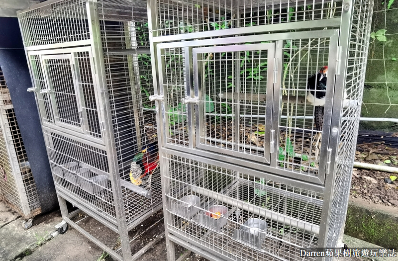 桃園景點|蘇家莊園/免門票好停車日式庭園造景萬坪動物莊園(菜單)