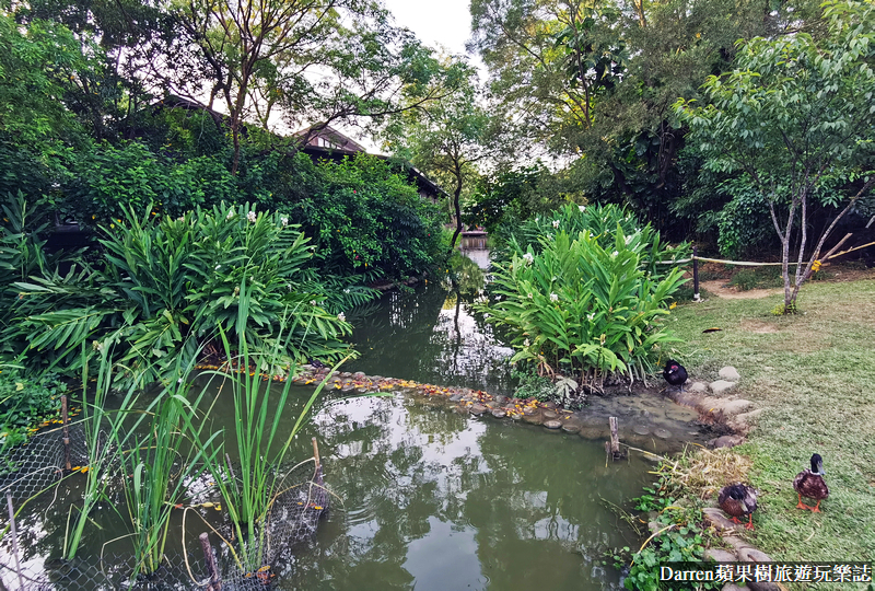 桃園八德埤塘自然生態公園|桃園親子景點野餐看小動物附近景點美食交通