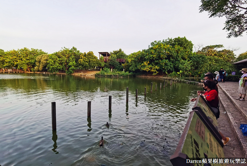 桃園八德埤塘自然生態公園|桃園親子景點野餐看小動物附近景點美食交通