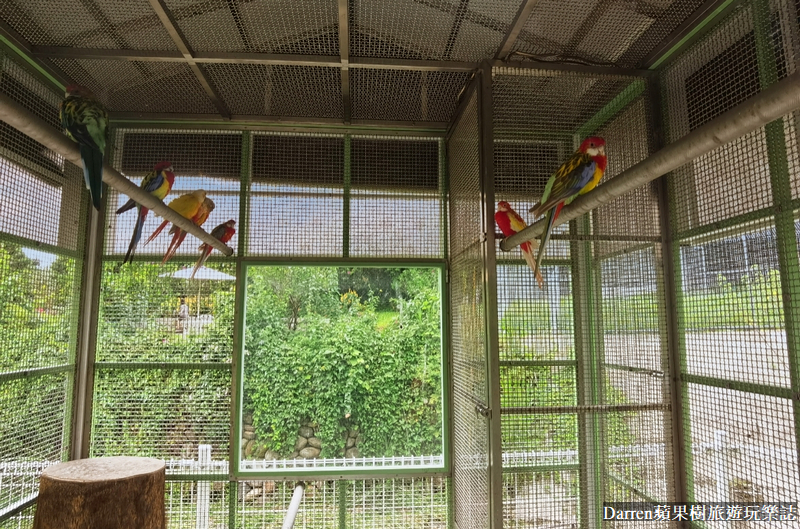 桃園景點|蘇家莊園/免門票好停車日式庭園造景萬坪動物莊園(菜單)
