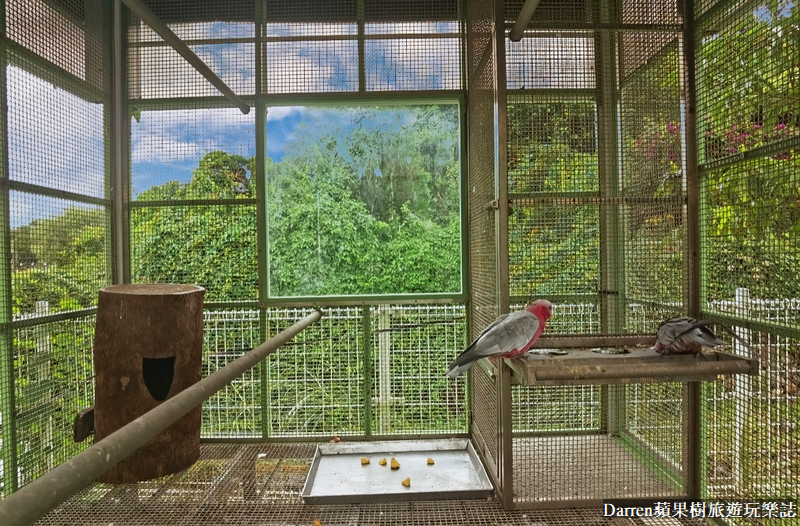 桃園景點|蘇家莊園/免門票好停車日式庭園造景萬坪動物莊園(菜單)